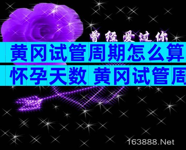 黄冈试管周期怎么算怀孕天数 黄冈试管周期促排卵需要多长时间